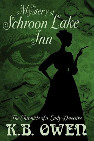 Book cover of The Mystery of Schroon Lake Inn