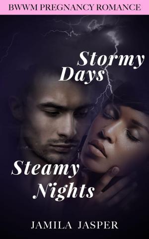 Cover of the book Stormy Days, Steamy Nights: BWWM Romance Novel by J. Jasper
