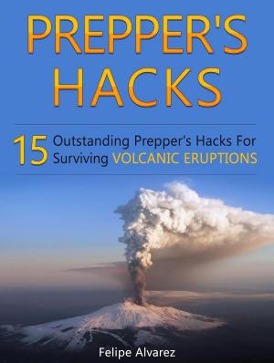 Cover of the book Prepper's Hacks: 15 Outstanding Prepper's Hacks For Surviving Volcanic Eruptions by Stacey Donovan