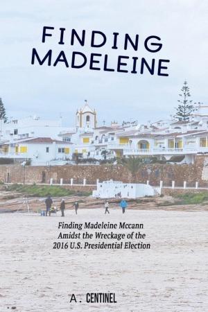 Cover of the book Finding Madeleine by Roger Daniel