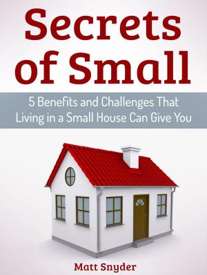 Cover of the book Secrets of Small: 5 Benefits and Challenges That Living in a Small House Can Give You by Arthur Palmer