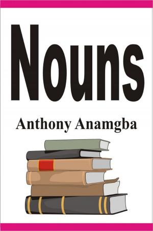 Cover of the book Nouns by Philip T. Lin