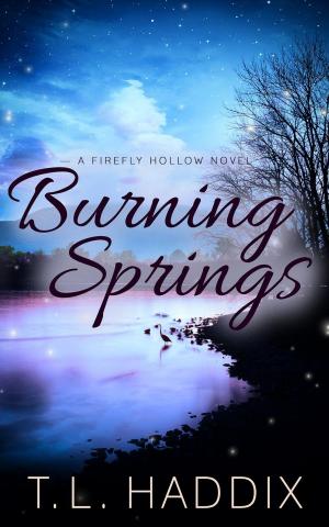 Cover of the book Burning Springs by Liz Crowe