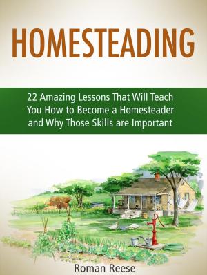 Cover of the book Homesteading: 22 Amazing Lessons That Will Teach You How to Become a Homesteader and Why Those Skills are Important by Cynthia Carter