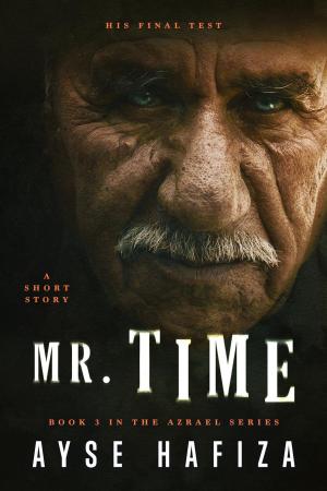 Book cover of Mr. Time