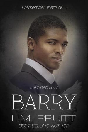 Cover of the book Barry by G.C. McRae