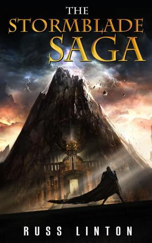 Cover of the book The Stormblade Saga by Mark Fassett