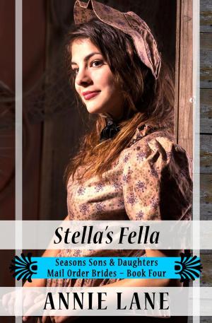 Book cover of Mail Order Bride - Stella's Fella