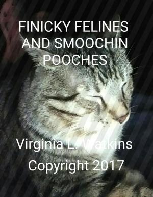 Book cover of Finicky Felines An Smoochin Pooches