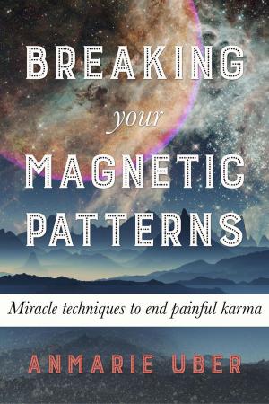 Book cover of Breaking Your Magnetic Patterns