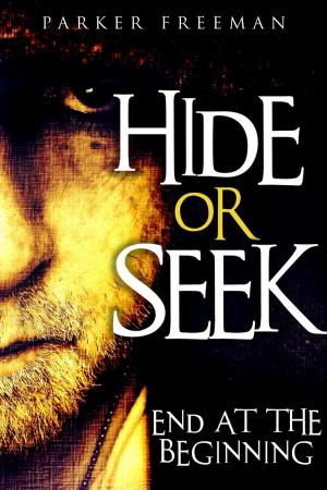 Cover of the book Hide or Seek: End at the Beginning by Elena Chambers