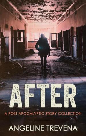 Book cover of After: A Post Apocalyptic Story Collection