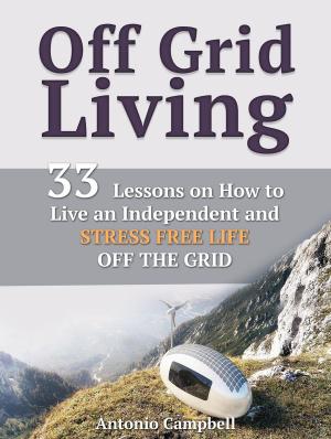 Cover of the book Off Grid Living: 33 Lessons on How to Live an Independent and Stress Free Life off the Grid by Tomas Martin