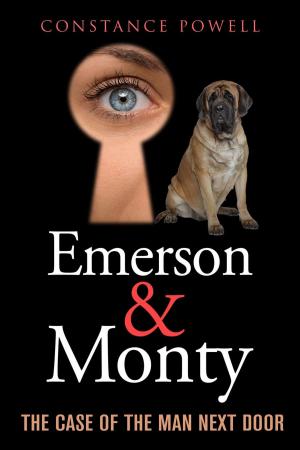 Cover of the book Emerson & Monty: The Case of the Man Next Door by Vanessa Riley