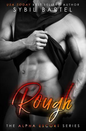 Book cover of Rough