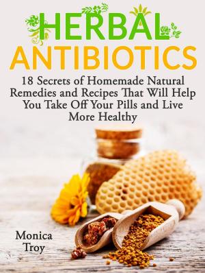 Cover of the book Herbal Antibiotics: 18 Secrets of Homemade Natural Remedies and Recipes That Will Help You Take Off Your Pills and Live More Healthy by Orlando Daniels