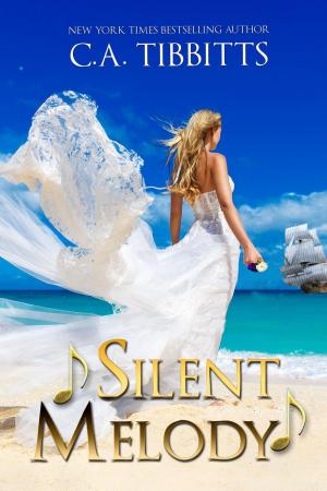 Cover of the book Silent Melody by Diane Setterfield
