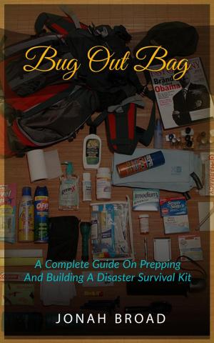 Cover of the book Bug Out Bag: A Complete Guide On Prepping And Building A Disaster Survival Kit by Alan Baxter