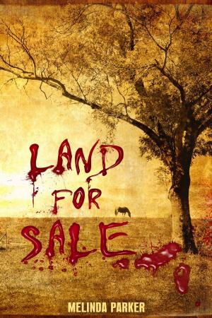 Cover of the book Land For Sale by Laurie Mendez