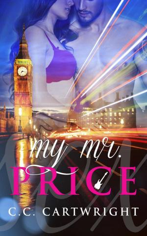 Cover of the book My Mr. Price by Mascha Schoonakker