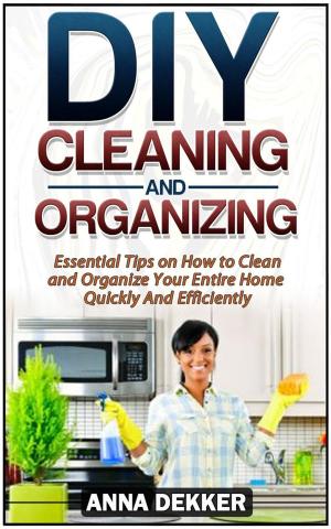 Cover of the book Diy Cleaning and Organizing: Essential Tips on How to Clean and Organize Your Entire Home Quickly And Efficiently by Dylan Day