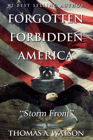 Book cover of Storm Front