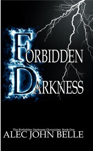 bigCover of the book Forbidden Darkness by 