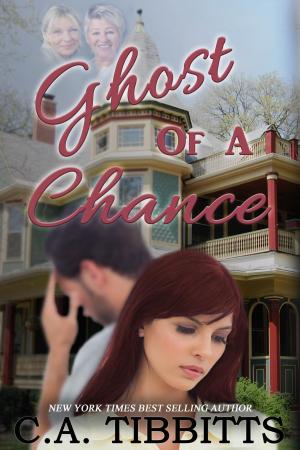 Cover of the book Ghost Of A Chance by D.T. Dyllin