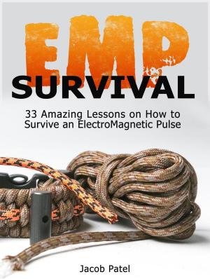 Cover of the book Emp Survival: 33 Amazing Lessons on How to Survive an ElectroMagnetic Pulse by Julia Riley