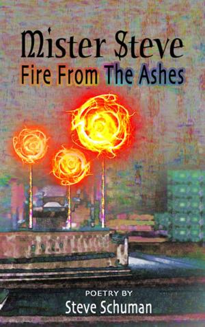 Cover of the book Mister Steve: Fire From The Ashes by Connie Boje