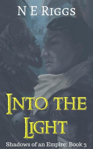 Cover of the book Into the Light by Nicole Martinsen