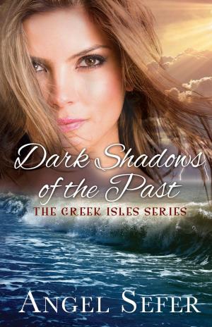 Cover of the book Dark Shadows of the Past by Reuben Tihi Hayslett, Lisa Diane Kastner