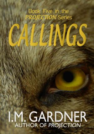 bigCover of the book Callings by 