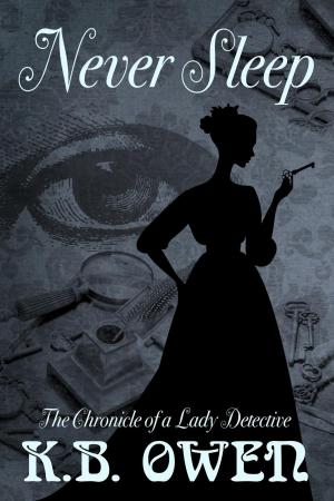 Cover of the book Never Sleep by A. Van Kraft