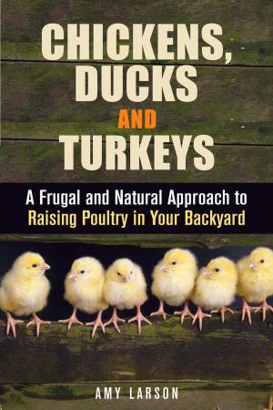 Cover of the book Chickens, Ducks and Turkeys: A Frugal and Natural Approach to Raising Poultry in Your Backyard by Abby Chester
