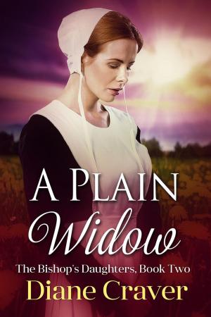 Cover of the book A Plain Widow by LeeAnn Mackenzie