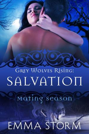 Cover of the book Salvation by Andrew Woodmaker
