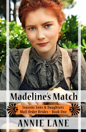 Book cover of Mail Order Bride - Madeline's Match
