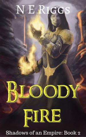 Cover of the book Bloody Fire by David Schipp