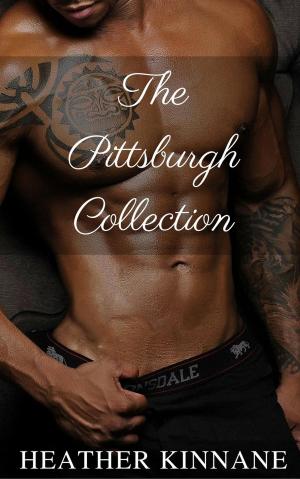 Book cover of The Pittsburgh Collection