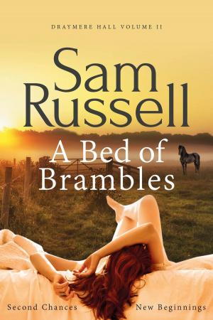 bigCover of the book A Bed of Brambles by 