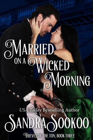 Cover of the book Married on a Wicked Morning by Christy Barritt