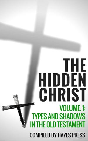 Cover of the book The Hidden Christ Volume 1: Types and Shadows in the Old Testament by Jim Johnston