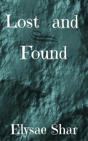 Cover of the book Lost and Found by Jeffrey A. Michael