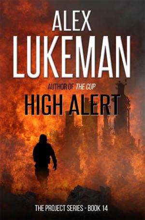 Cover of the book High Alert by RD Meyer
