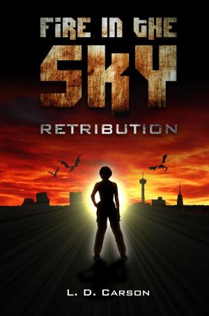 Cover of the book Fire in the Sky: Retribution by Jordyn White