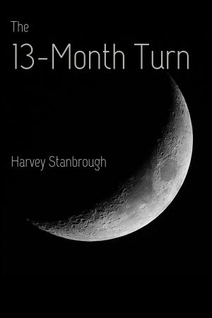Cover of the book The 13-Month Turn by Eric Stringer