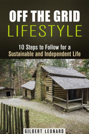 Cover of the book Off the Grid Lifestyle: 10 Steps to Follow for a Sustainable and Independent Life by Jessica Meyer
