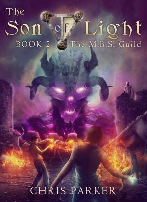 Book cover of The Son of Light Book 2: The M.B.S. Guild