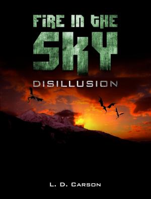 bigCover of the book Fire in the Sky: Disillusion by 